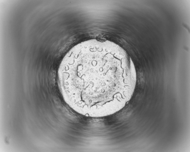 X0000100220664200806271728