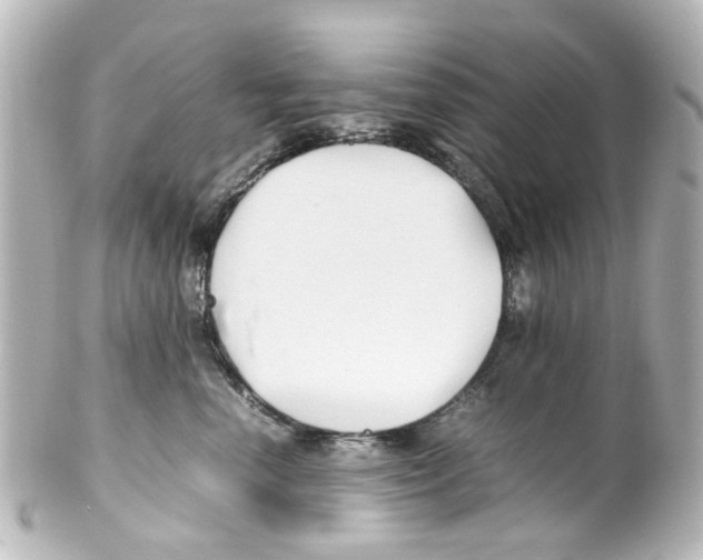 X0000100220666200806271728