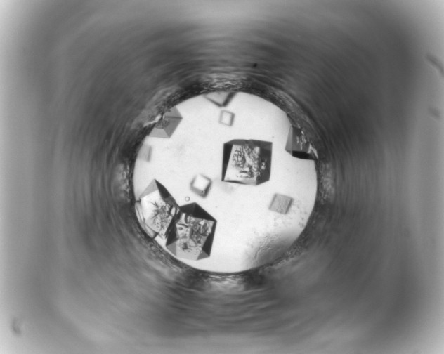 X0000100220667200806271728