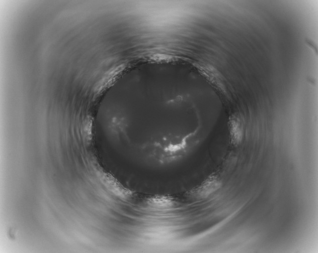 X0000100220668200806271728