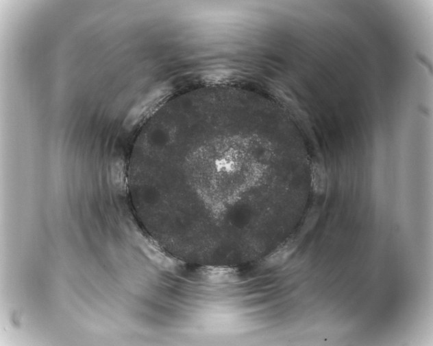 X0000100220670200806271728