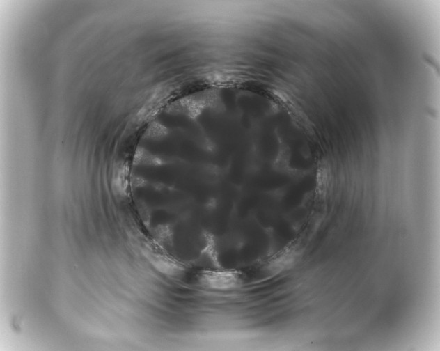 X0000100220671200806271728