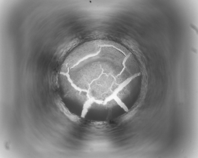 X0000100220672200806271728