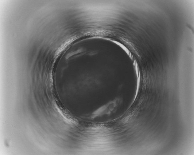 X0000100220674200806271728