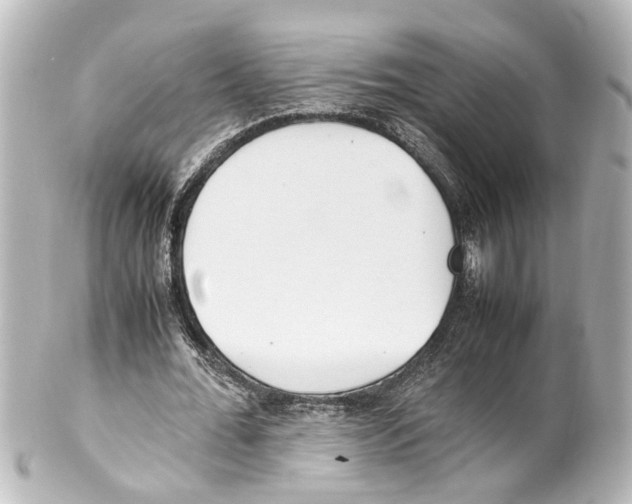 X0000100220676200806271728