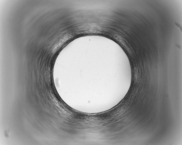 X0000100220677200806271728