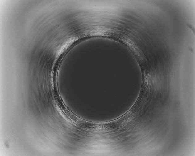 X0000100220678200806271728