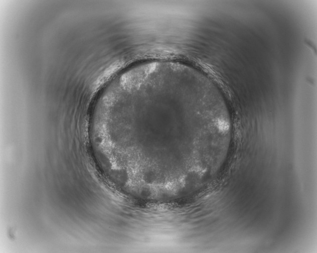 X0000100220679200806271728