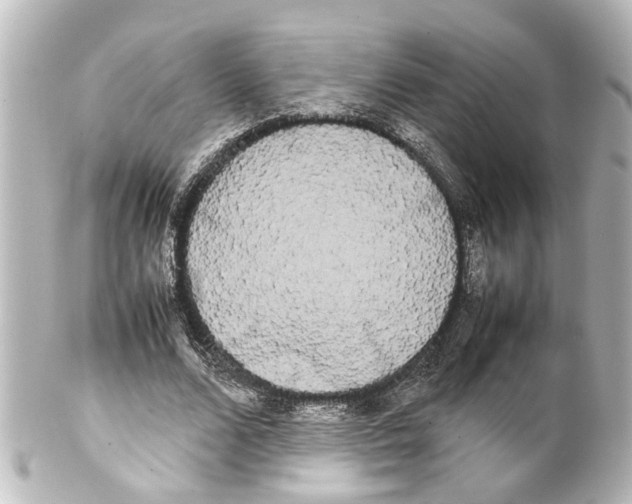 X0000100220680200806271728