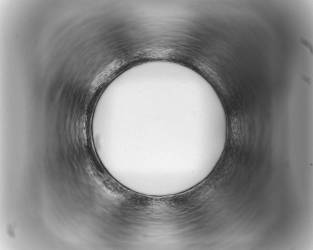 X0000100220682200806271728