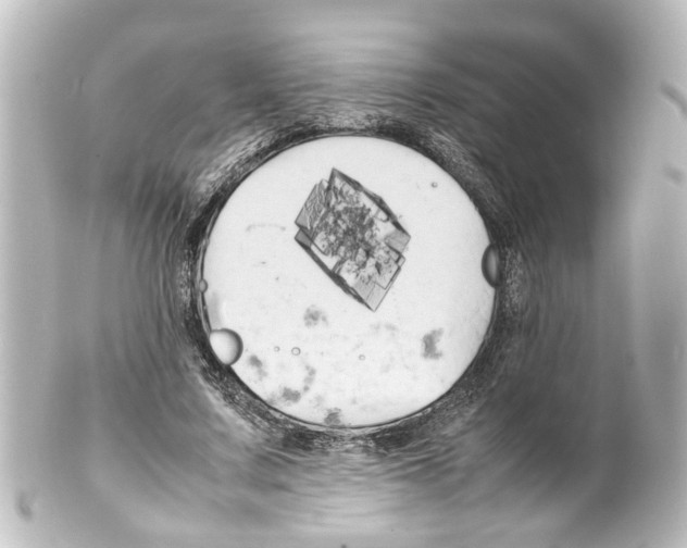 X0000100220683200806271727