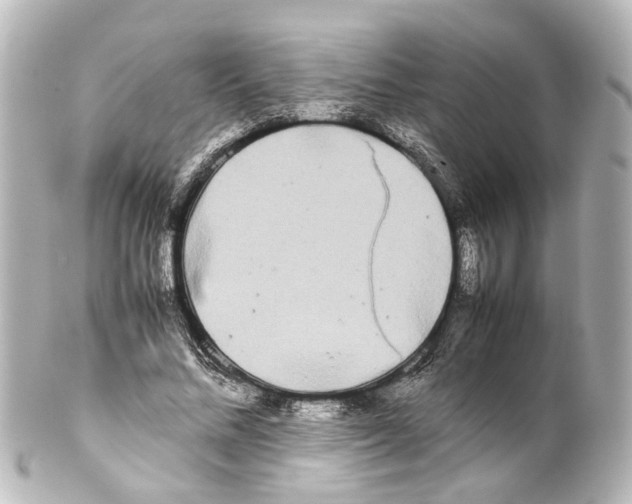 X0000100220684200806271727