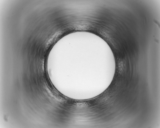 X0000100220686200806271727