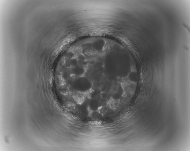 X0000100220687200806271727