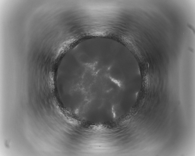 X0000100220688200806271727