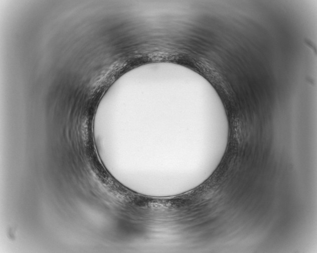 X0000100220690200806271727