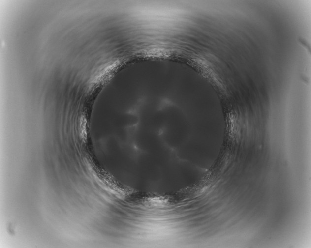 X0000100220692200806271727