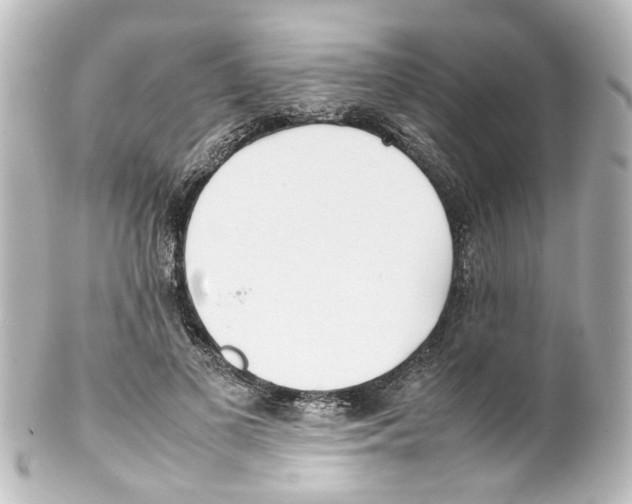 X0000100220693200806271727