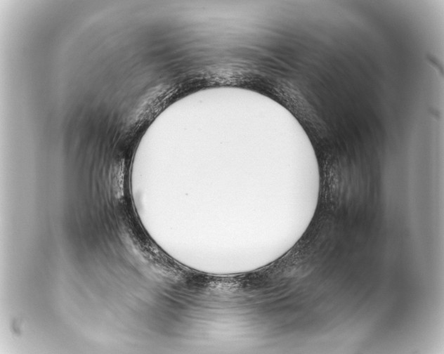 X0000100220694200806271727