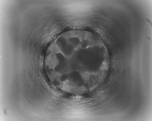 X0000100220695200806271727