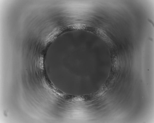 X0000100220696200806271727