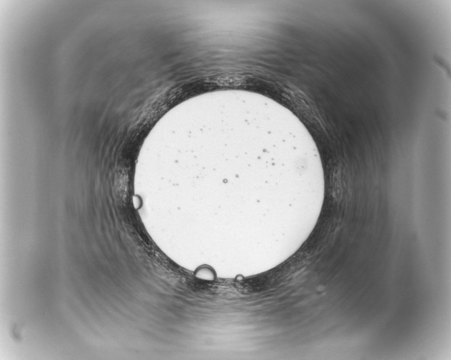 X0000100220697200806271727