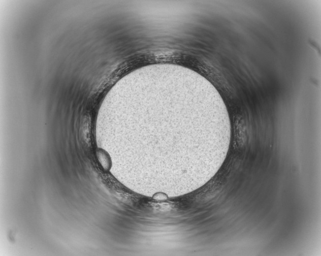 X0000100220698200806271727