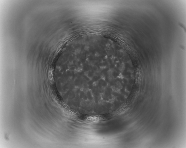 X0000100220699200806271727