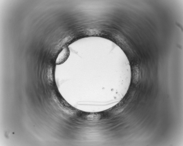 X0000100220700200806271727