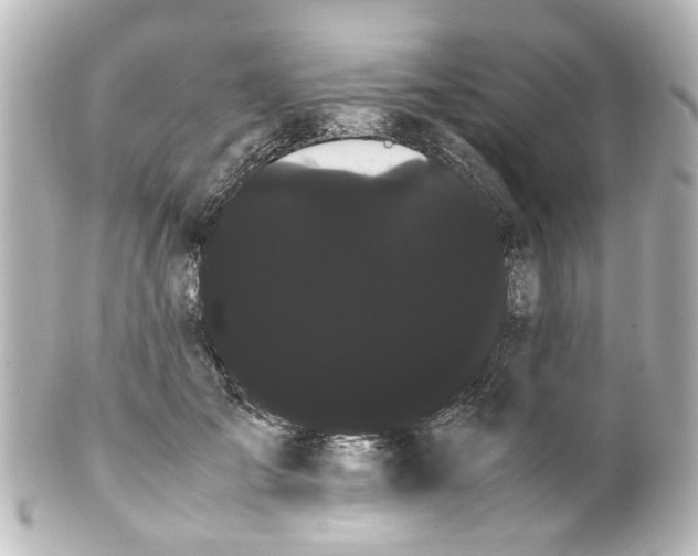 X0000100220701200806271727