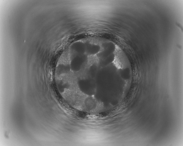 X0000100220703200806271727