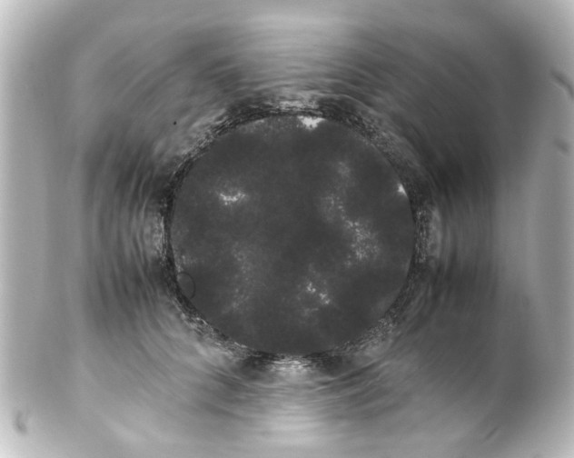 X0000100220704200806271727