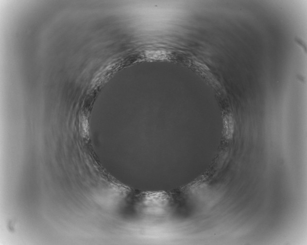 X0000100220705200806271727