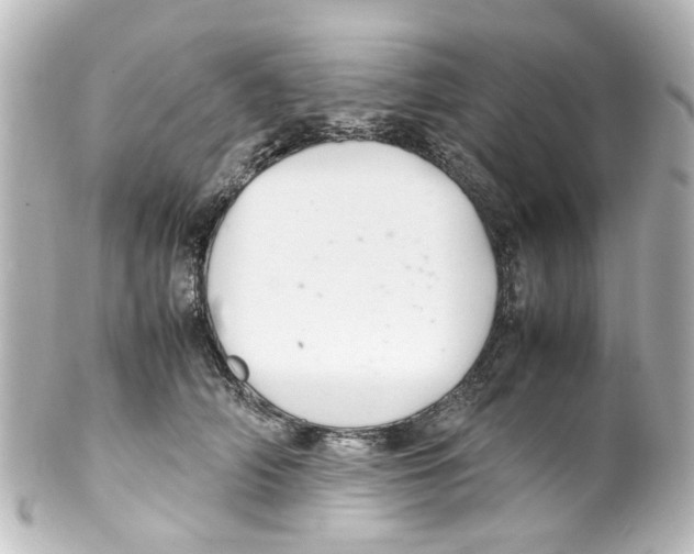 X0000100220706200806271727