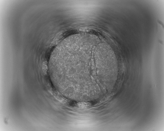 X0000100220707200806271727