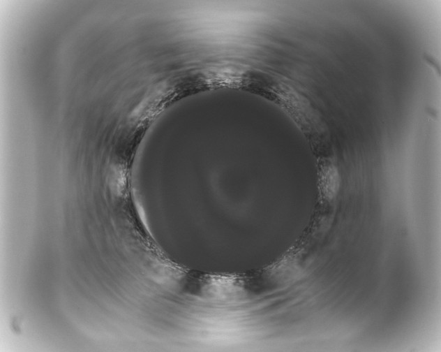 X0000100220709200806271727