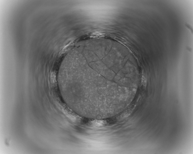 X0000100220711200806271727