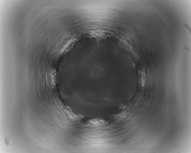 X0000100220712200806271727