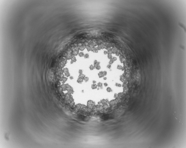 X0000100220715200806271727