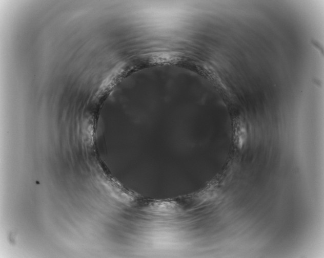 X0000100220716200806271727