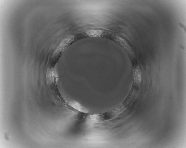 X0000100220717200806271727