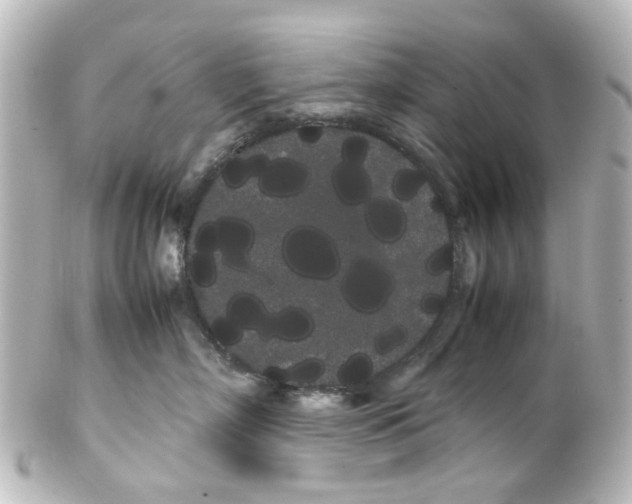 X0000100220718200806271727