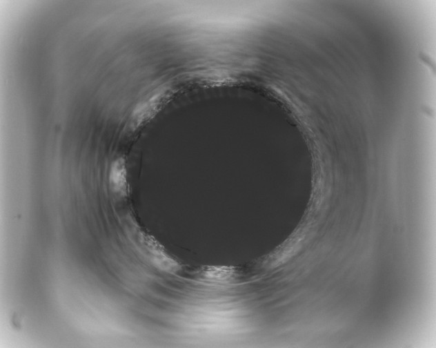 X0000100220720200806271727