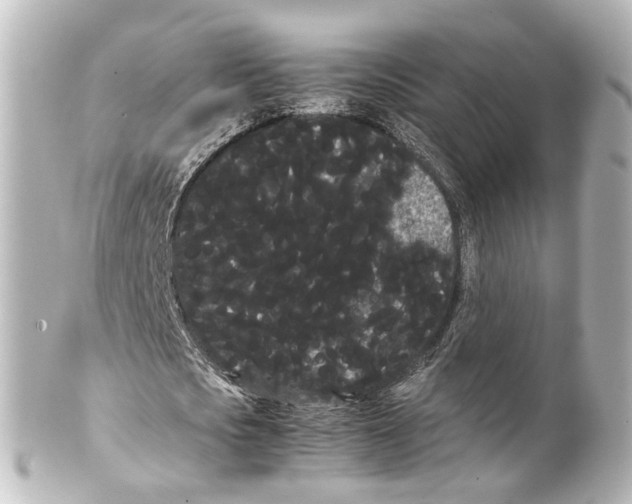 X0000100220721200806271726