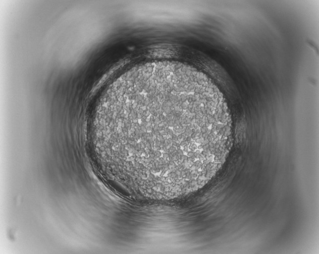 X0000100220722200806271726