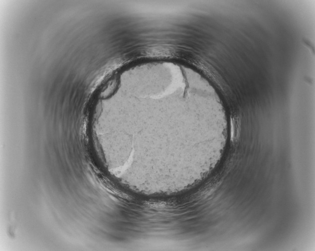 X0000100220723200806271726