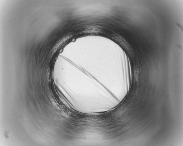 X0000100220724200806271726