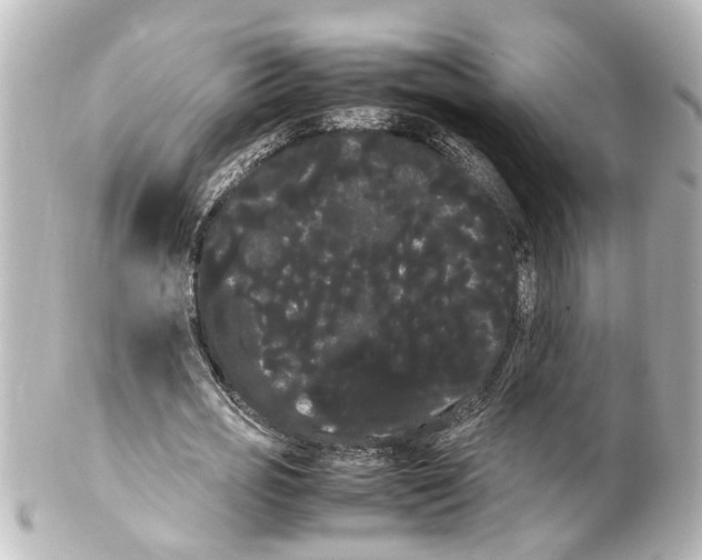 X0000100220725200806271726