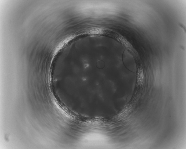 X0000100220726200806271726