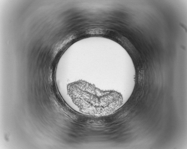 X0000100220727200806271726